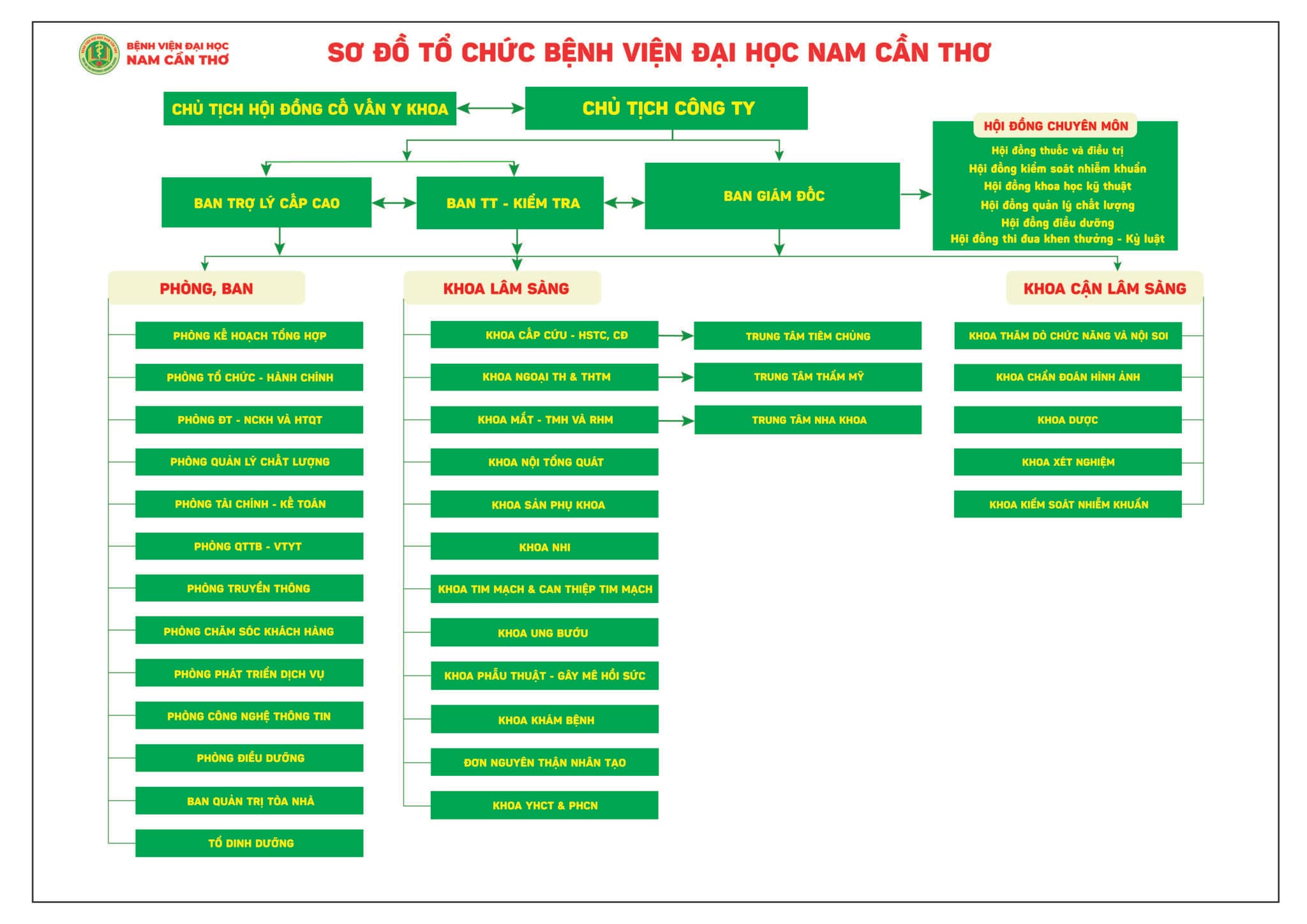 Sơ đồ cơ cấu tổ chức Bệnh viện Đại học Nam Cần Thơ